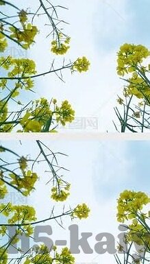 俄乙足球比分-揭秘俄乙联赛,比分背后的激情与梦想